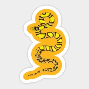 serpent,cobra,reptile,viper,venom,lizard,rattlesnake,king cobra Sticker